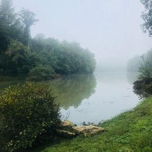 Meet your Posher, Jessie